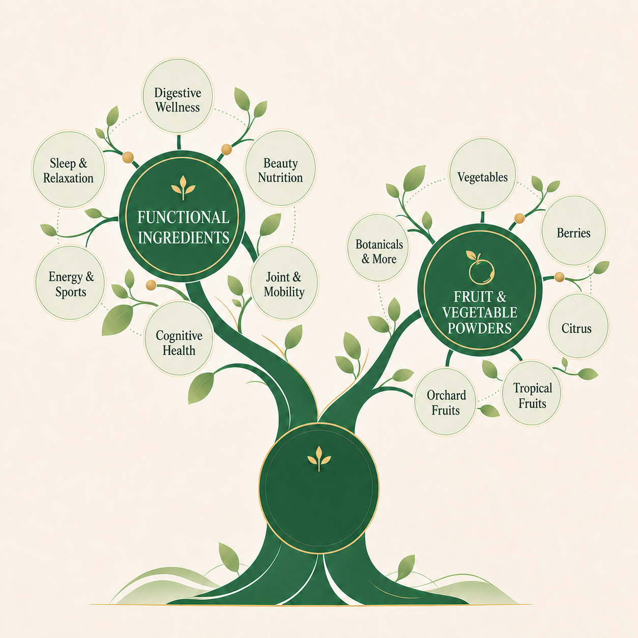Herunsheng functional ingredients and fruit powder product tree